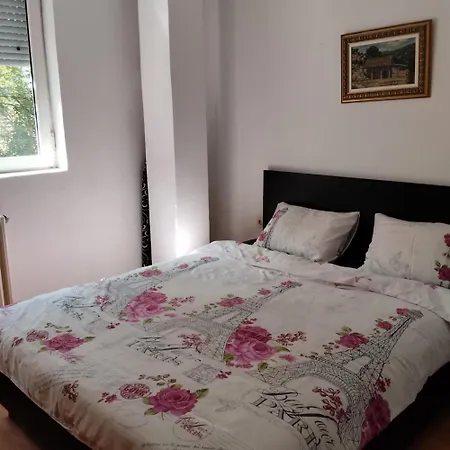 Suzana's Apartment